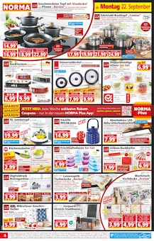 Herren Unterhose Angebot im aktuellen Norma Prospekt auf Seite 5