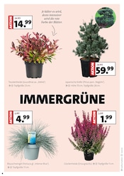 Aktueller Moubis Pflanzenhof Prospekt mit Blumen, "MACH DEINEN GARTEN HERBST-FIT", Seite 4