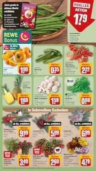 Pflanzen im aktuellen REWE Prospekt (Heidelberg) Pflanzen im REWE Prospekt "Dein Markt" mit 22 Seiten (Heidelberg)