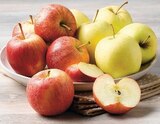 Pomme - Super U à Montpellier Pomme en promo chez Super U Montpellier à 1,69 €