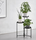 Blumenständer von Landscape im aktuellen XXXLutz Möbelhäuser Prospekt für 11,90 €