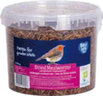 Mehlwürmer im aktuellen Globus-Baumarkt Prospekt