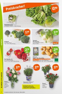 Gemüse im tegut Prospekt "tegut… gute Lebensmittel" mit 24 Seiten (Nürnberg)