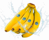 Bananen im Angebot bei Netto Marken-Discount in Hückelhoven Bananen Angebote von Chiquita bei Netto Marken-Discount Hückelhoven für 1,99 €