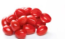 Datteltomaten bei ALDI SÜD in Aschaffenburg Datteltomaten im Angebot bei ALDI SÜD Aschaffenburg