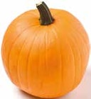 Netto mit dem Scottie - Halloween Kürbis Angebot im Prospekt Halloween Kürbis bei Netto mit dem Scottie im Prospekt "" für 3,49 €