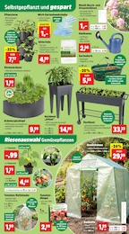 Gartenwerkzeug Angebot im aktuellen Thomas Philipps Prospekt auf Seite 7