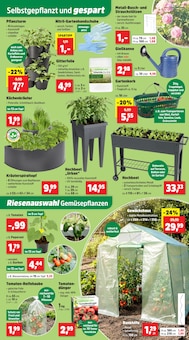 Schuhe im Thomas Philipps Prospekt "Top Angebote" mit 22 Seiten (Bottrop)