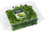 EDEKA Frischemarkt Schönberg (Holstein) Prospekt mit  im Angebot für 1,11 €