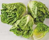 Aktuelle Salat Angebote bei tegut in Nürnberg Aktuelles Salatherzen Angebot bei tegut in Nürnberg ab 0,99 €