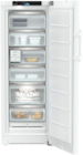FNC 5071-22 Gefrierschrank Angebote von Liebherr bei Hirsch und Ille Offenburg für 1.299,00 €