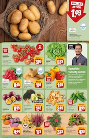 Ähnliche Briefkasten Angebote im Prospekt "Dein Markt" von REWE in Fürth Ähnliche Angebote wie Briefkasten im Prospekt "Dein Markt" auf Seite 9 von REWE in Fürth