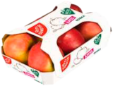 Tafeläpfel Jonagold im Angebot bei EDEKA in Pinneberg Tafeläpfel Jonagold Angebote von Gut & Günstig bei EDEKA Pinneberg für 0,99 €