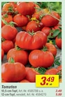 Tomaten 10,5-cm-Topf Angebote bei toom Baumarkt Gelsenkirchen für 3,49 €