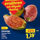 Kaktusfeige im aktuellen Lidl Prospekt