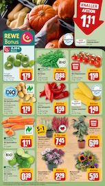 Kürbis im REWE Prospekt in Nürnberg Aktueller REWE Prospekt mit Kürbis, "Dein Markt", Seite 7