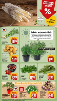 Tomaten im aktuellen REWE Prospekt (Bremen) Tomaten im REWE Prospekt "Dein Markt" mit 18 Seiten (Bremen)