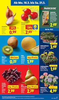 Gemüse im Lidl Prospekt "LIDL LOHNT SICH" mit 68 Seiten (Oldenburg)