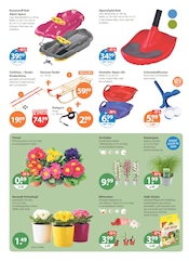 Aktueller V-Markt Prospekt mit Schlitten, "V-Markt einfach besser einkaufen", Seite 24