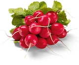Netto Marken-Discount Hürth Prospekt mit  im Angebot für 0,49 €