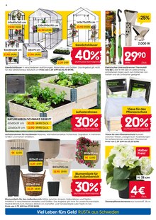 Zimmerpflanzen im Rusta Prospekt "Willkommen zu Hause in Schweden!" mit 16 Seiten (Essen)