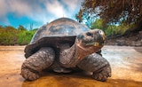 Ecuador & Galapagos Rundreise Angebote bei Lidl Voerde für 3.499,00 €