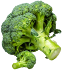 Dtsch./niederl. Broccoli bei Kaufland im Genthin Prospekt für 1,29 €