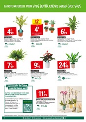 Orchidée Angebote im Prospekt "SPÉCIAL PLANTES D'INTÉRIEUR NOS PETITS PRIX PLANTENT LE DÉCOR" von Gamm vert auf Seite 2