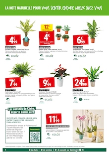 Prospectus Gamm vert de la semaine "SPÉCIAL PLANTES D'INTÉRIEUR NOS PETITS PRIX PLANTENT LE DÉCOR" avec 2 pages, valide du 29/01/2025 au 09/02/2025 pour Pontarlier et alentours