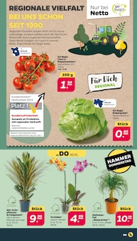 Eisbergsalat Angebot im Netto mit dem Scottie Prospekt, gültig von 27.10.2025 bis 01.11.2025 Eisbergsalat Angebot im aktuellen Netto mit dem Scottie Prospekt auf Seite 3