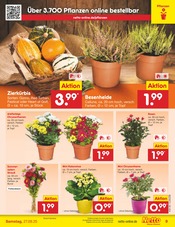 Aktueller Netto Marken-Discount Prospekt mit Blumen, "Aktuelle Angebote", Seite 9