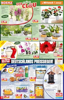 Handy im Norma Prospekt "Mehr fürs Geld" mit 20 Seiten (Ingolstadt)