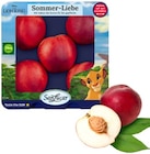 Aktuelle Obst Angebote bei REWE in Stuttgart Aktuelles Pfirsiche Angebot bei REWE in Stuttgart ab 3,49 €