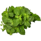 Menthe fraîche en promo chez Carrefour Market Menthe fraîche dans le catalogue Carrefour Market