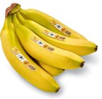 Aktuelle Bananen Angebote bei Netto Marken-Discount in Salzgitter Aktuelles Bananen Angebot bei Netto Marken-Discount in Salzgitter ab 1,00 €