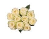 Rosen Exklusiv bei Lidl im Arnsberg Prospekt für 8,99 €