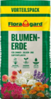 Blumenerde-Vorteilspack im Angebot bei Hagebaumarkt in Stralsund Blumenerde-Vorteilspack Angebote von Floragard bei Hagebaumarkt Stralsund für 12,99 €