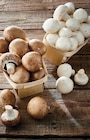 Intermarché Super Morsang-sur-Orge - Promo Champignon de paris Promo Champignon de paris à 1,79 € dans le catalogue Intermarché Super à Morsang-sur-Orge