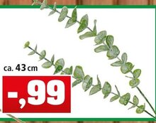 Dekozweig bei Thomas Philipps in Falkensee Dekozweig im Angebot bei Thomas Philipps Falkensee für 0,99 €