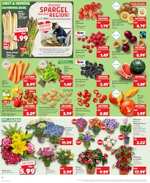 Kaufland Rose im Prospekt Kaufland Rose im Prospekt