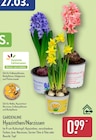 Hyazinthen/Narzissen Angebote von GARDENLINE bei ALDI Nord Essen für 0,99 €