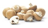 Braune Champignons Angebote von REWE Regional bei REWE Fürth für 1,49 €