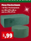 Mosy Steckschaum für 0,99 € bei Thomas Philipps im Angebot Mosy Steckschaum im aktuellen Thomas Philipps Prospekt