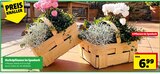 Angebot im Hagebaumarkt Uelzen Prospekt Hagebaumarkt Uelzen Prospekt mit im Angebot für 6,99 €