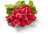 Aktuelle Gemüse Angebote bei Netto Marken-Discount in Oberhausen Aktuelles Radieschen Angebot bei Netto Marken-Discount in Oberhausen ab 0,49 €