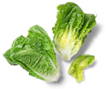 dtsch. Mini-Romanasalat im Angebot bei Kaufland in Heilbronn dtsch. Mini-Romanasalat Angebote von Bioland bei Kaufland Heilbronn für 1,49 €