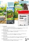 Heckeneibe im Angebot bei Hellweg in Langenfeld Heckeneibe Angebote bei Hellweg Langenfeld für 3,79 €