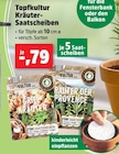 Aktuelles Kräuter-Saatscheiben Angebot bei Thomas Philipps in Düsseldorf ab 0,79 €