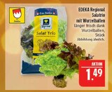 Aktuelles Salat Trio Angebot bei Marktkauf in Schonungen ab 1,49 €