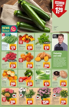 Blumen im aktuellen REWE Prospekt (Bielefeld) Blumen im REWE Prospekt "Dein Markt" mit 34 Seiten (Bielefeld)